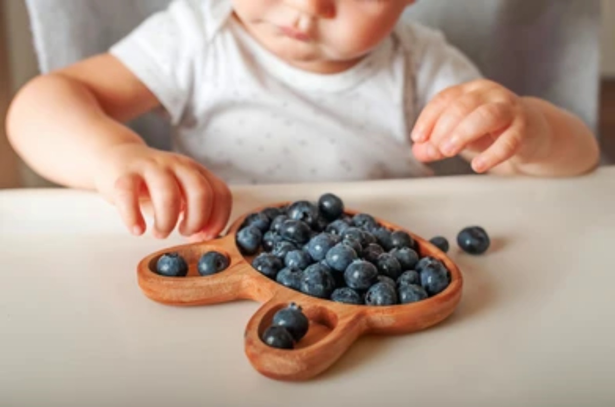 Bebé comiendo arándanos