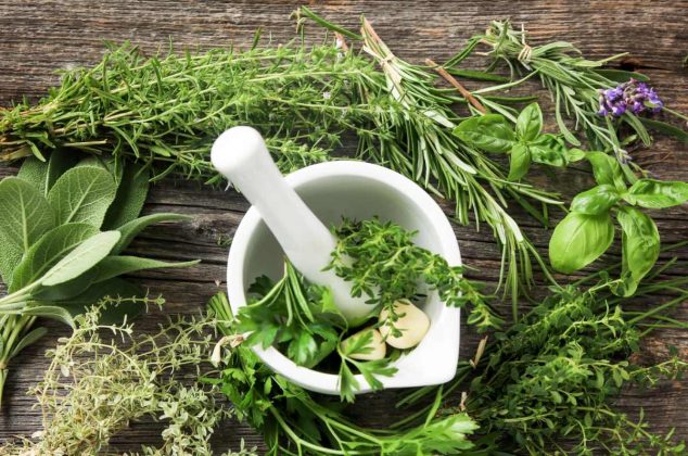 3 beneficios de la planta medicinal que “cura todos los dolores del cuerpo”