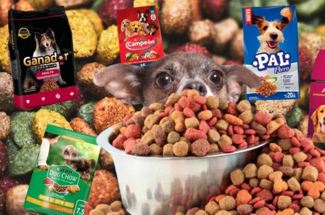 Las marcas de croquetas para perro que solo debes darle a tus mascotas según Profeco