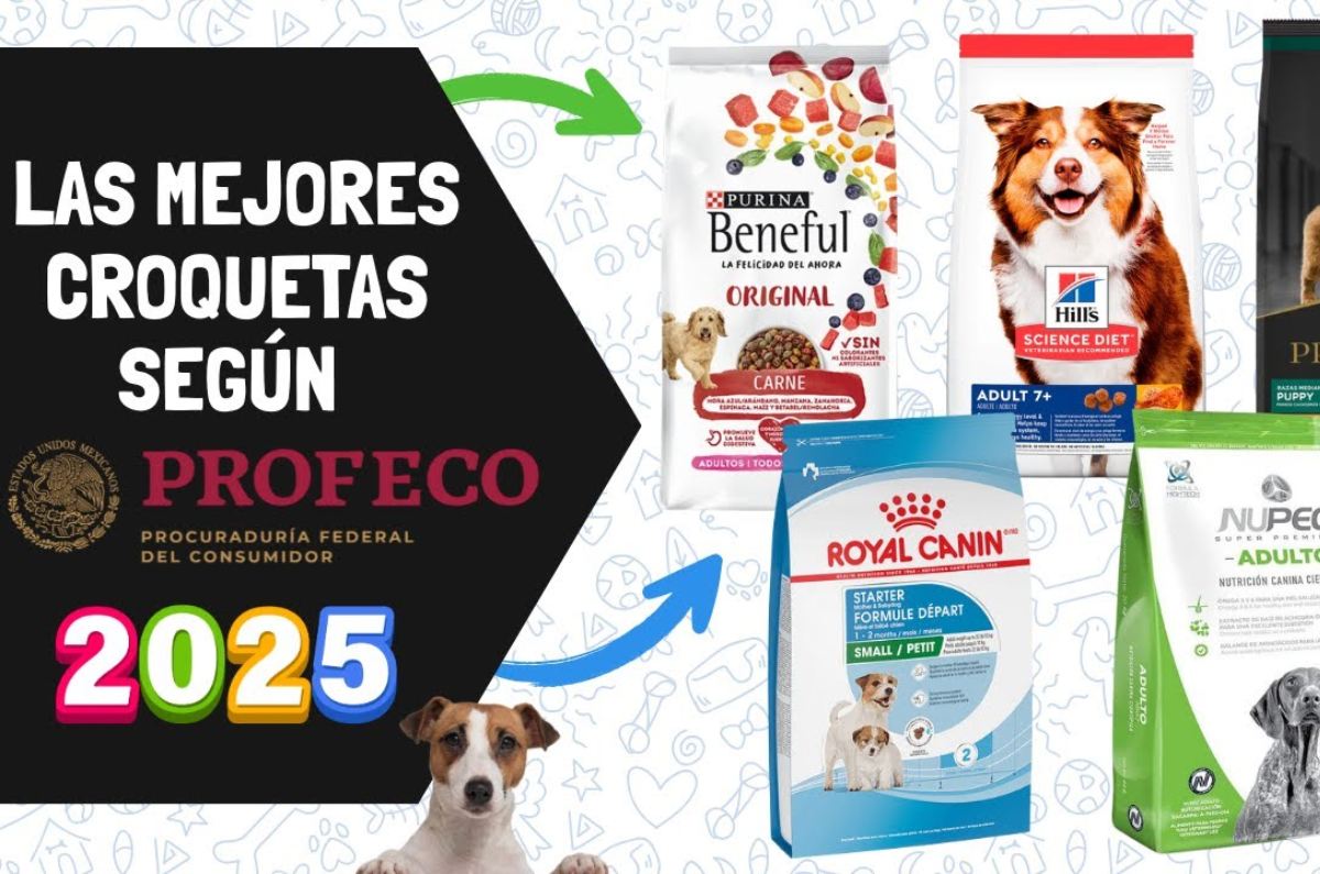croquetas para perro profeco
