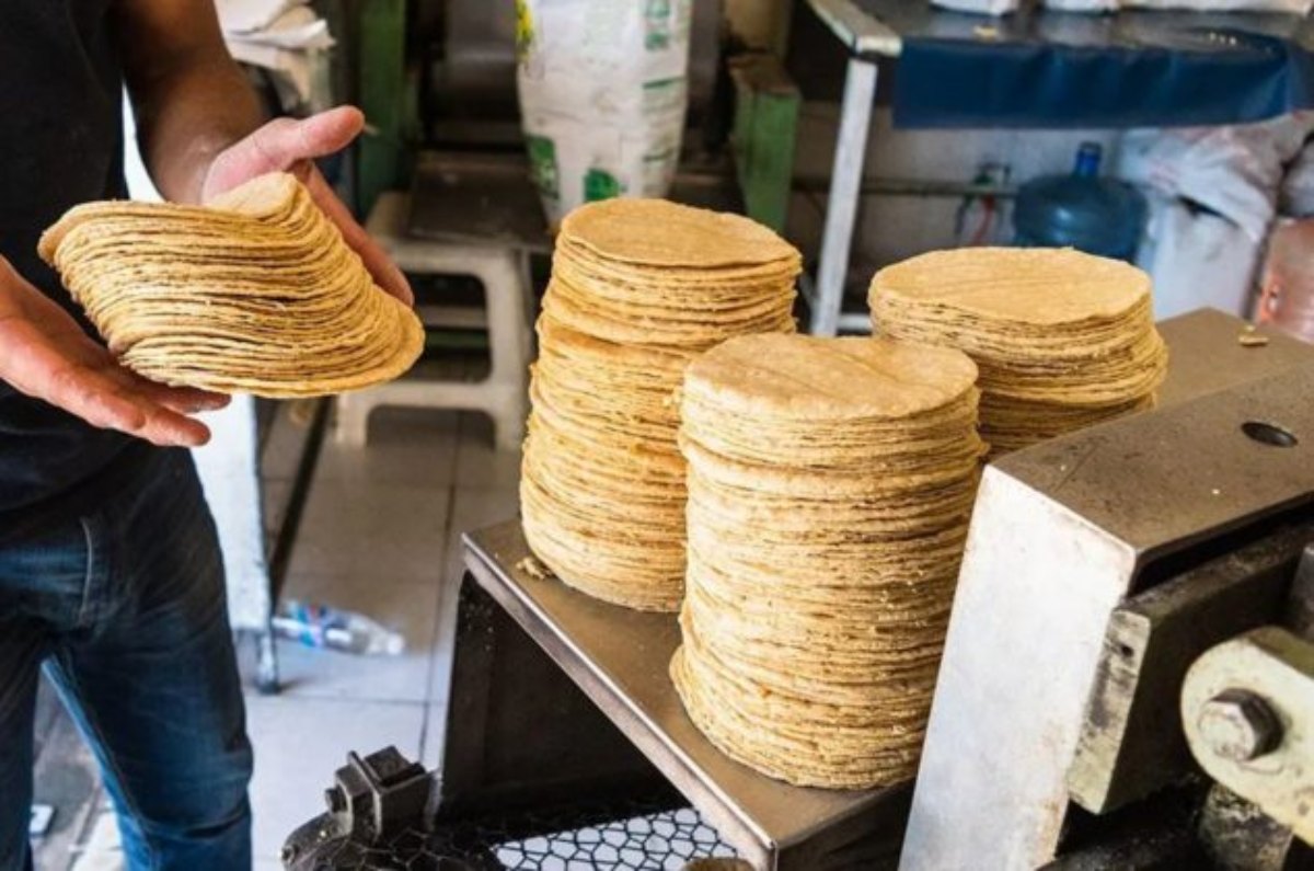 Cuántas tortillas es saludable comer según el IMSS