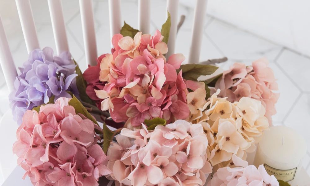 Hortensias en florero