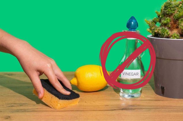 9 artículos y superficies del hogar que NO debes limpiar con vinagre y por qué