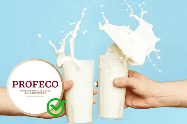 Las mejores marcas de leche con más vitamina D para fortalecer huesos y dientes, según Profeco