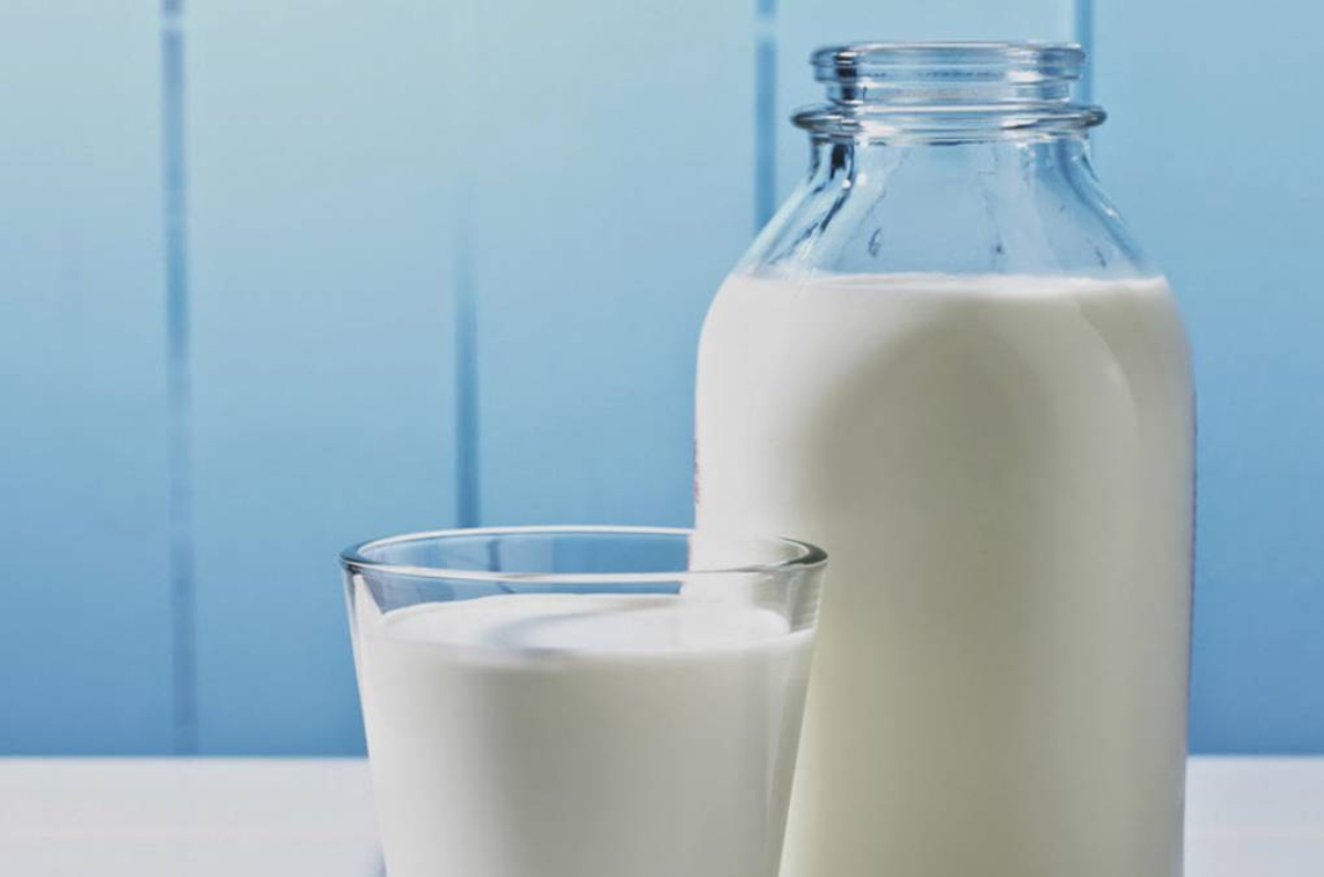 mejor leche entera 
