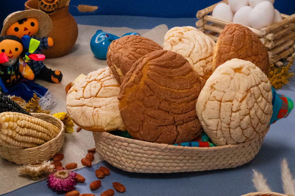 receta de conchas