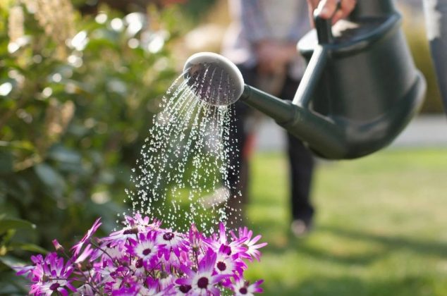 El mejor momento del día para regar el jardín y cómo hacerlo correctamente