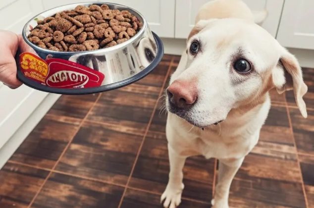 Retiran del supermercado esta comida para mascotas por posible contaminación de Salmonella