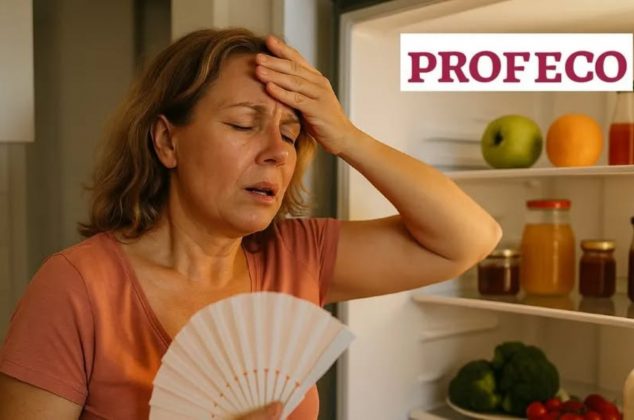 ¿Tienes menopausia? 4 alimentos que Profeco recomienda para el equilibrio hormonal