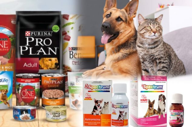 Proponen bajar el precio de comida y medicamento para mascotas en México: Esto es lo que costarían