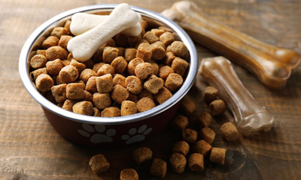 Contenido energético perros