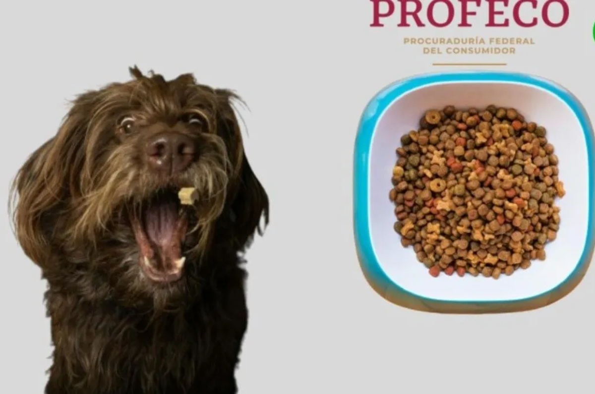 mejor marca de croquetas para perro