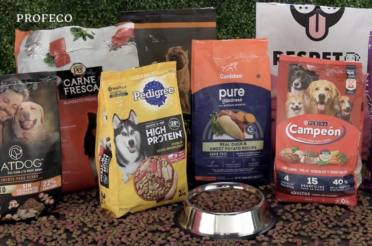 mejor marca de croquetas para perro