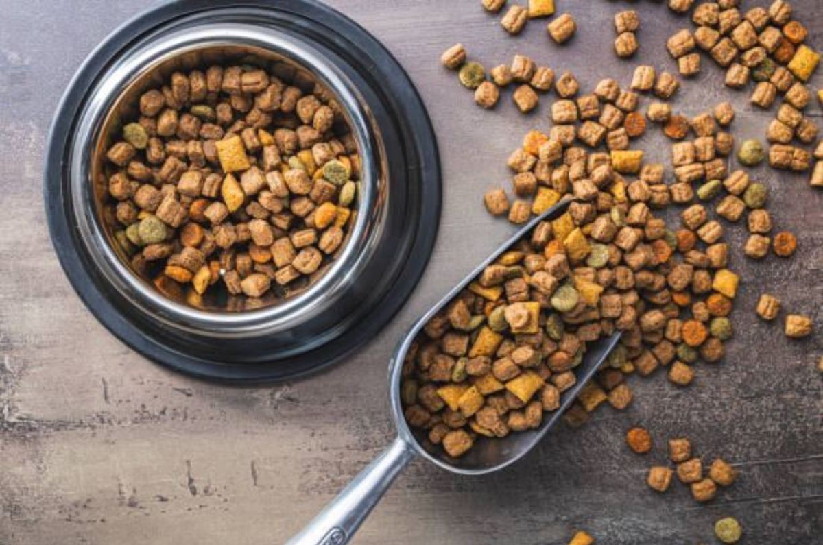 retiran alimento para perros contaminado
