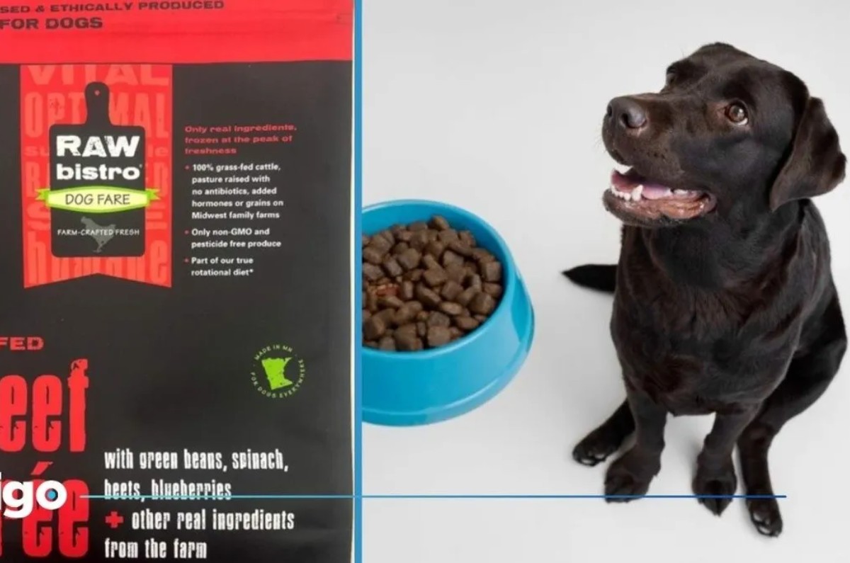 retiran alimento para perros contaminado