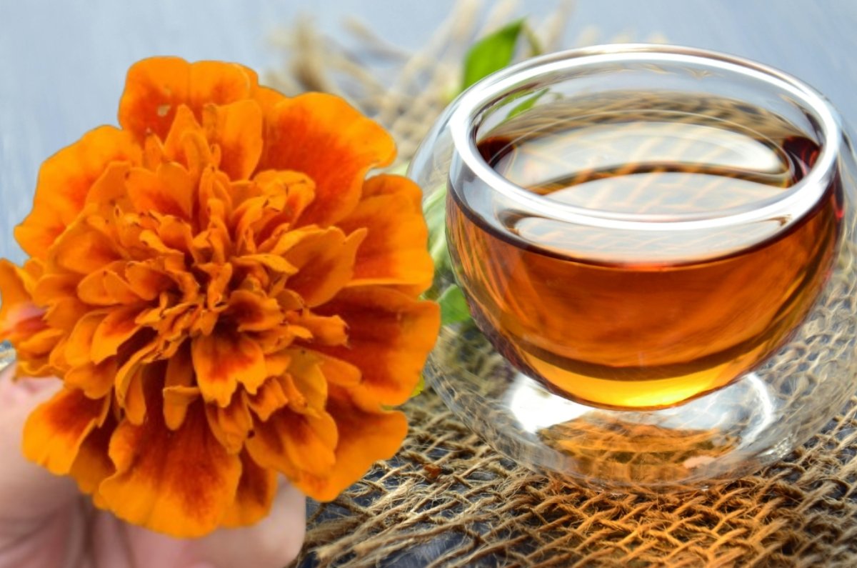 té de cempasúchil