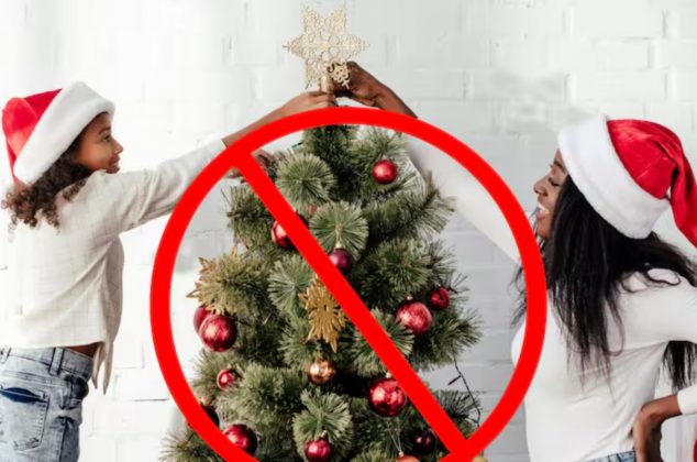 ¡Adiós árboles de Navidad tradicionales! La tendencia europea que es más económica para este 2025