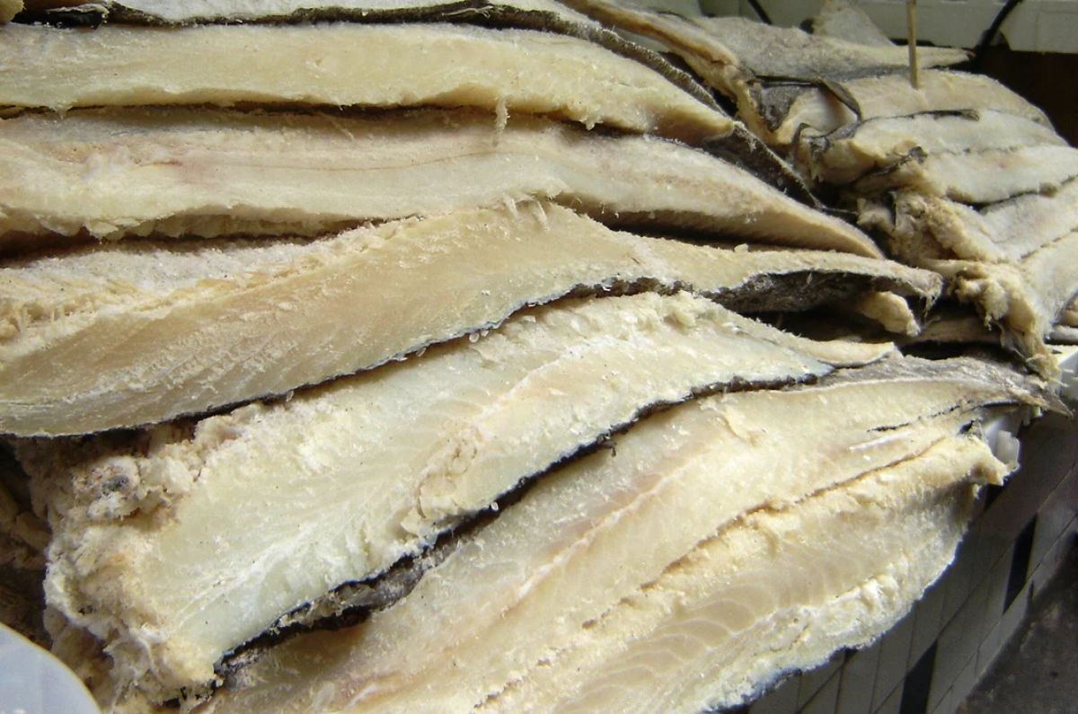 alimentos que se pueden congelar en noviembre