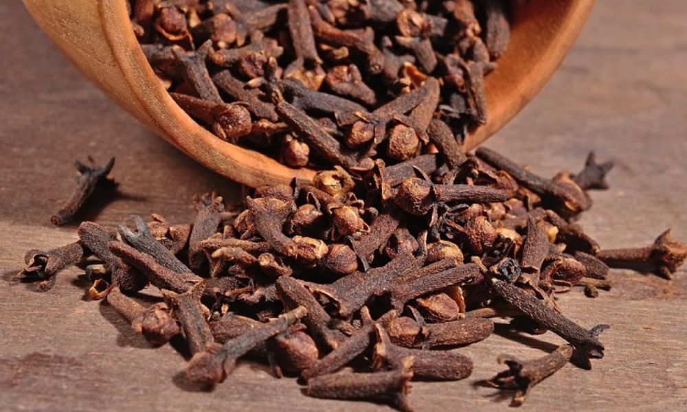 Clavo de olor mosquitos