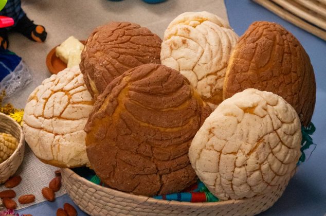 Conchas de chocolate y vainilla