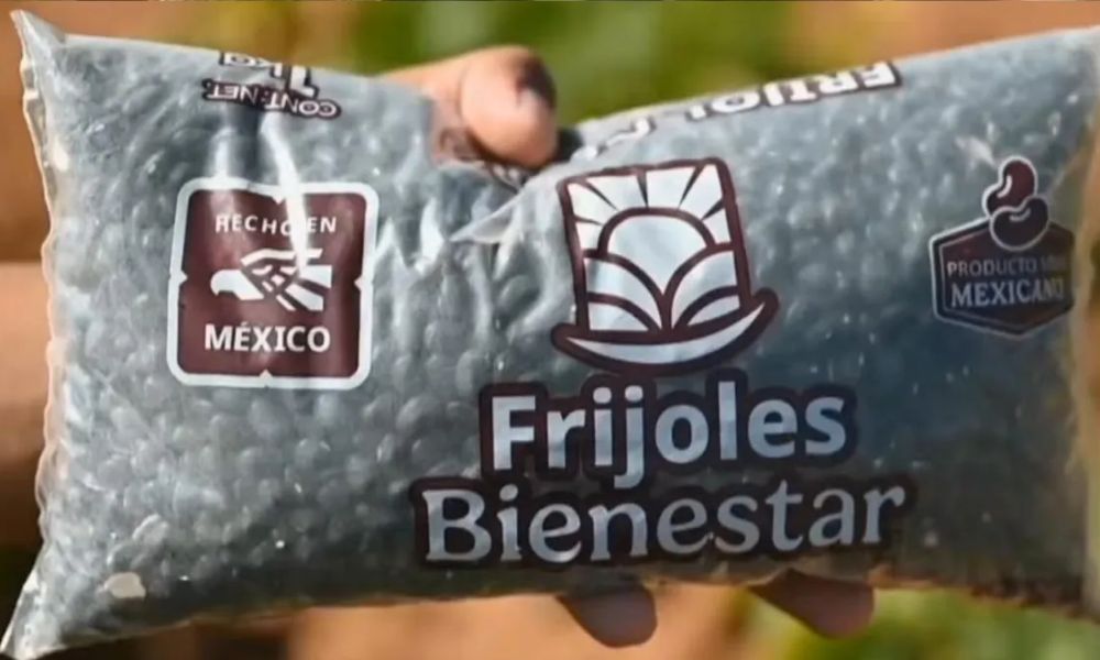 Frijol del Bienestar precio
