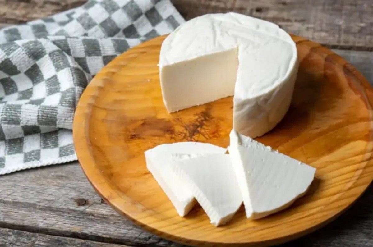 marcas de queso panela que son plástico