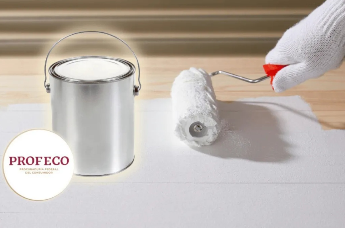 mejores pinturas profeco