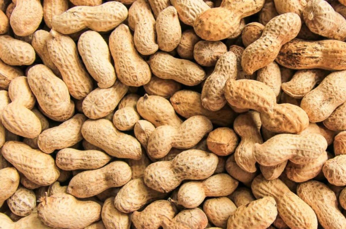 mejores y peores cacahuates profeco