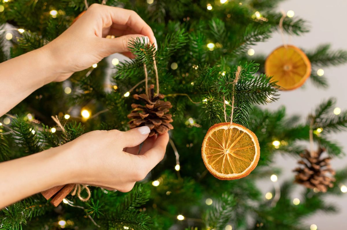 naranja y romero en el árbol de navidad