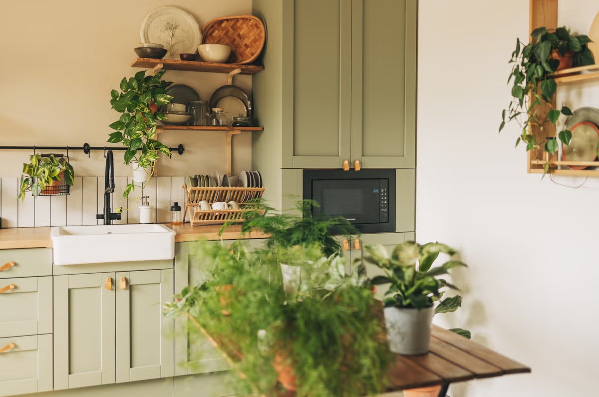 plantas que nunca debes tener en tu cocina