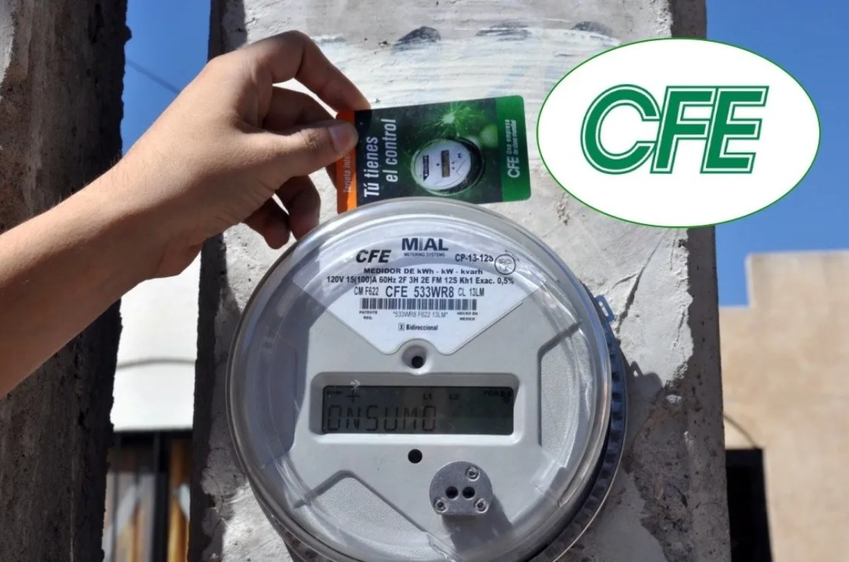 recibo de luz cfe noviembre