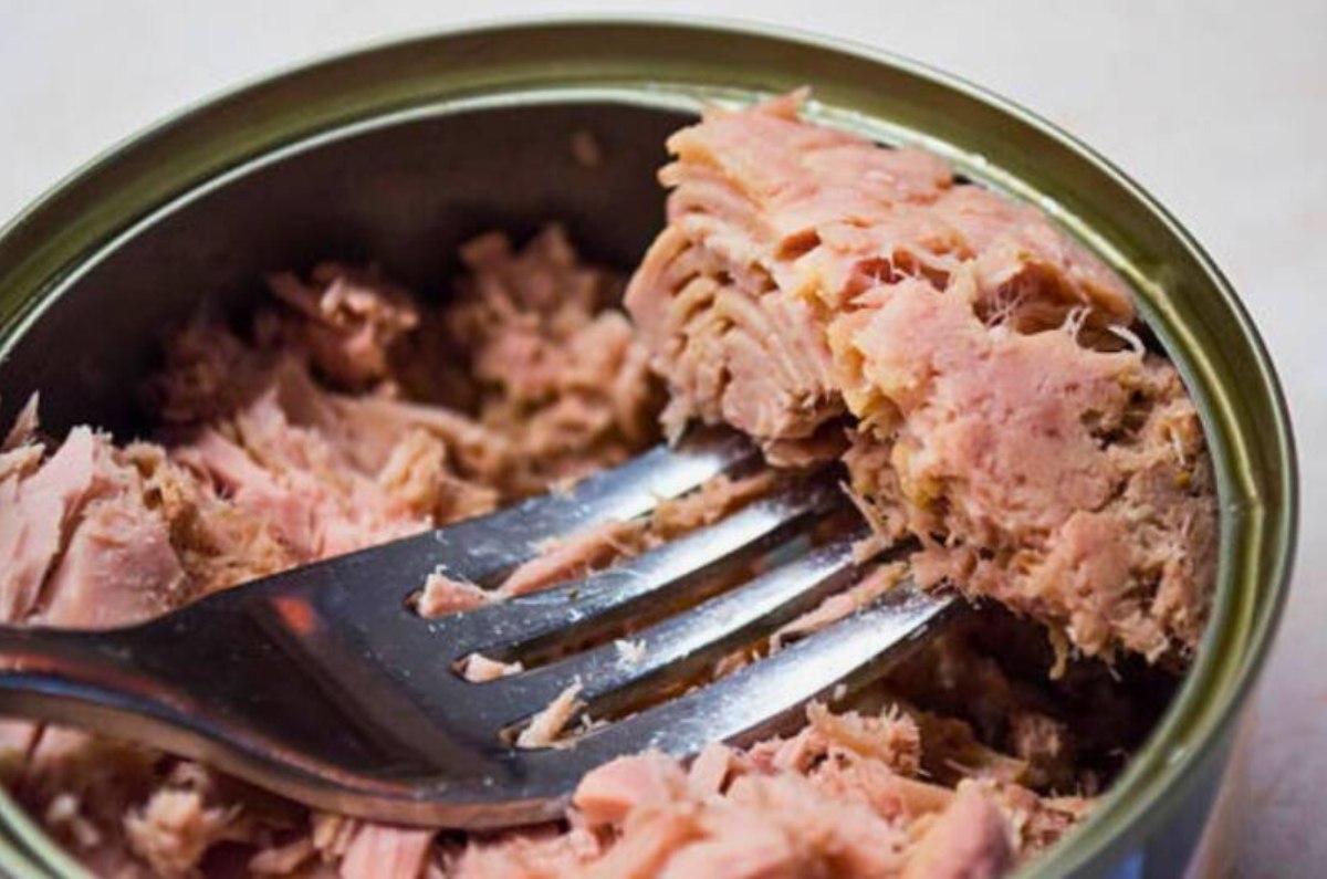 retiran marca de atún por contaminación