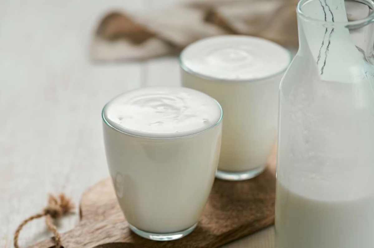 alimento con más probióticos