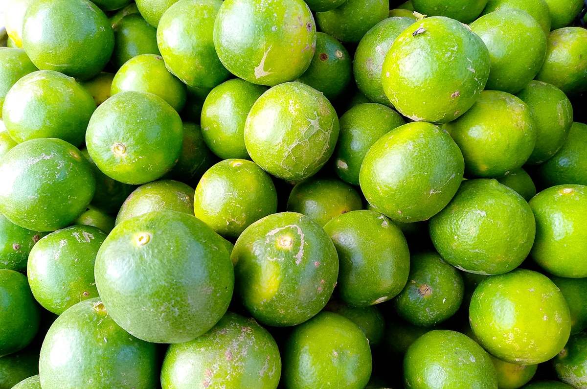 Sustitutos del limón