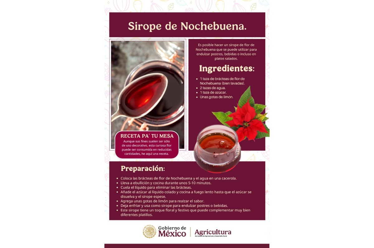 receta de té de nochebuena para que sirve 