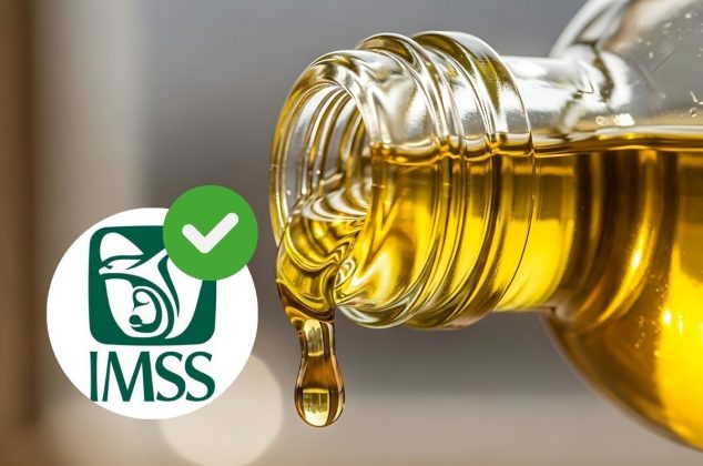 ¿Sabes qué aceite usar para cocinar? El IMSS revela los más saludables