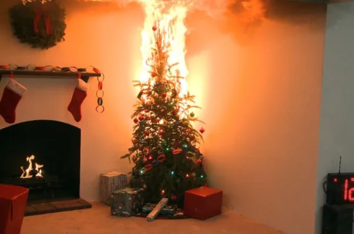 árboles de navidad prohibidos 