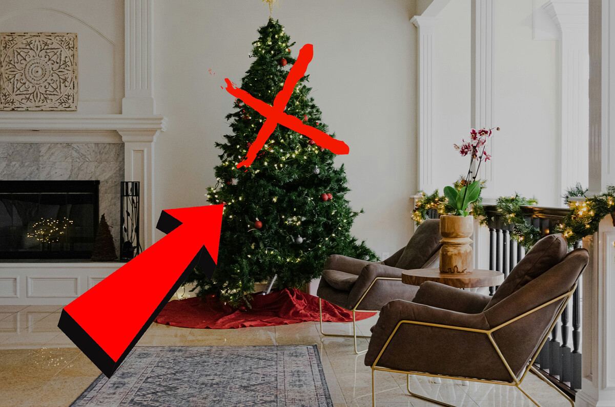 árboles de navidad prohibidos 
