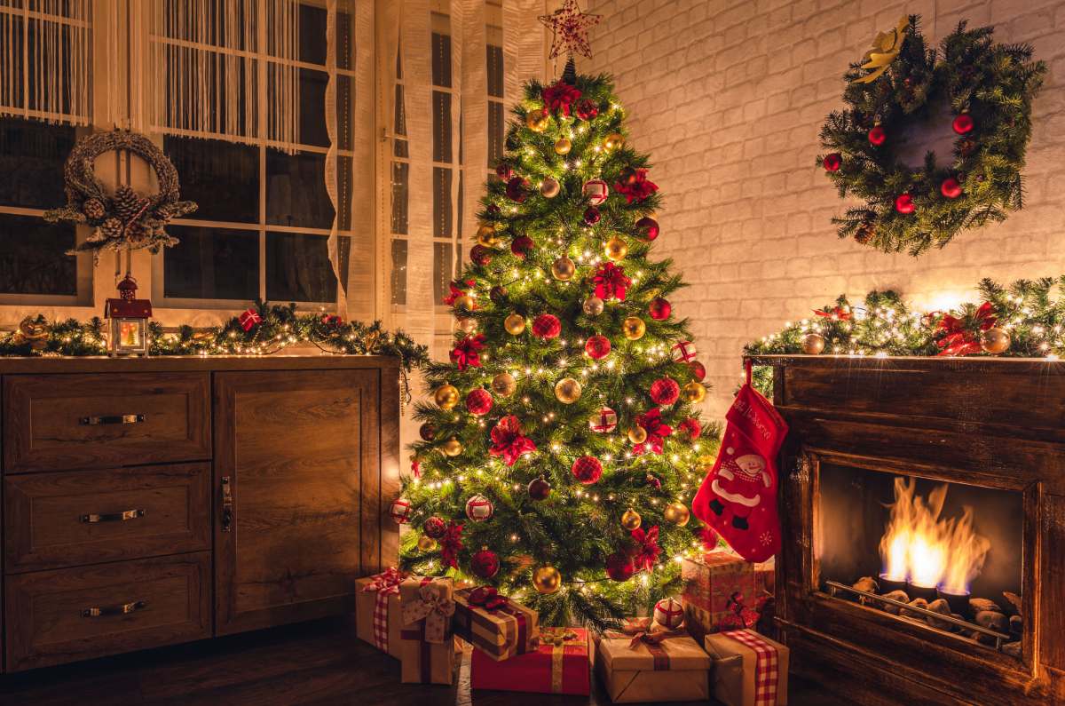 árboles de navidad prohibidos 