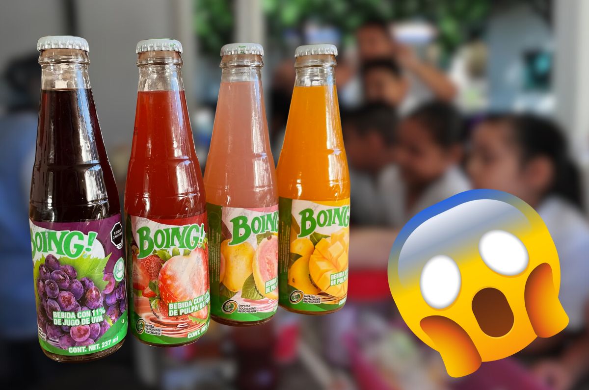 Boing podría regresar a las escuelas