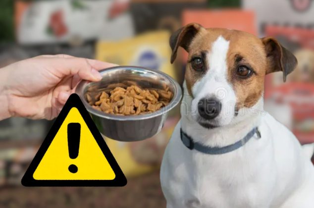 Ordenan suspender esta famosa comida para perro por riesgo de “perforación intestinal”