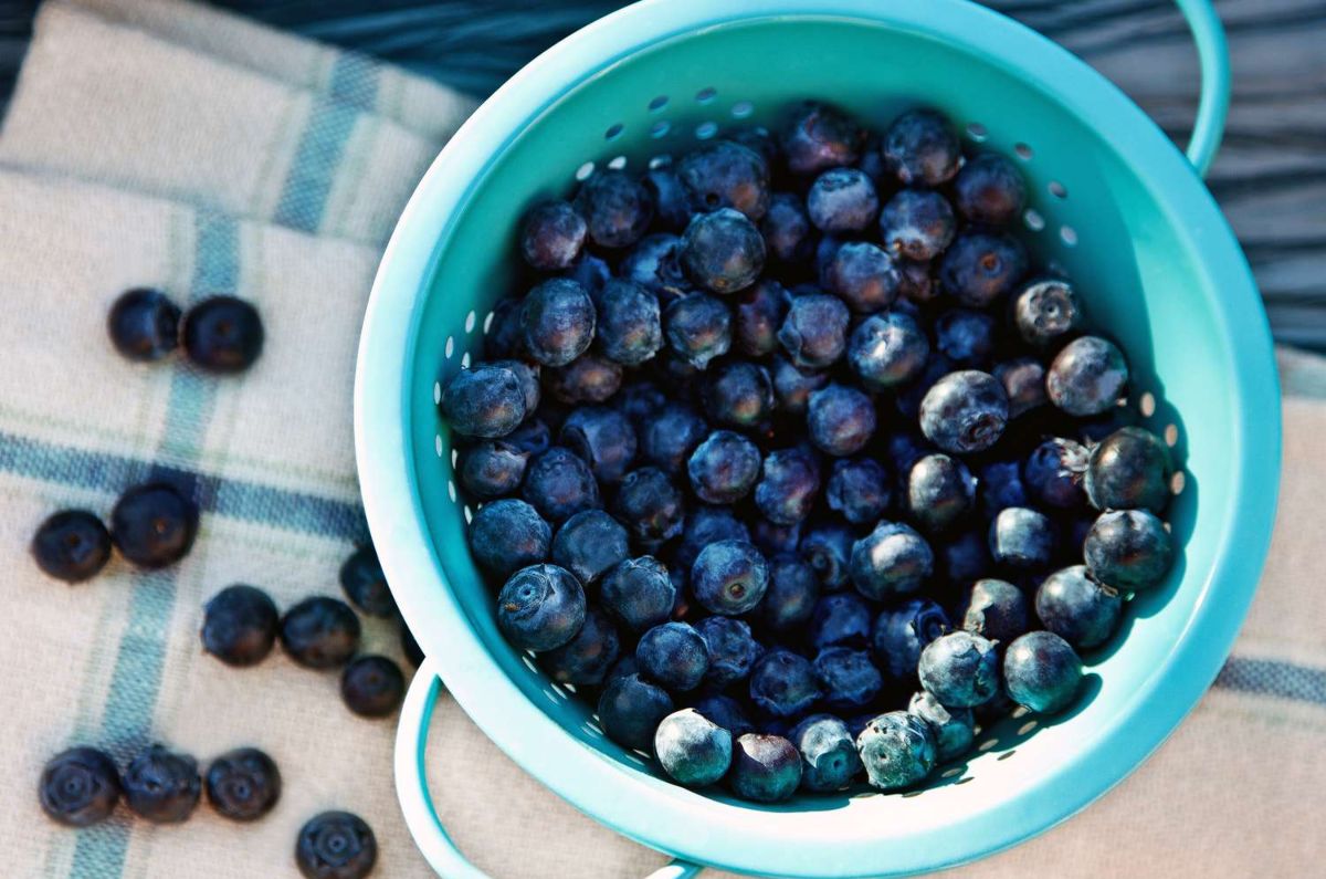 cómo limpiar arándanos