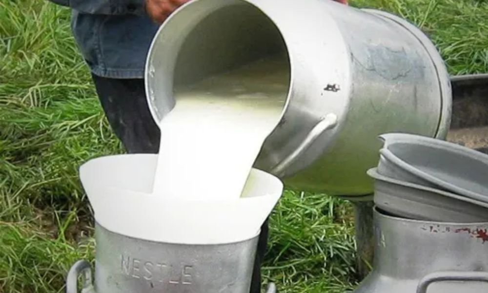 leche cruda peligros