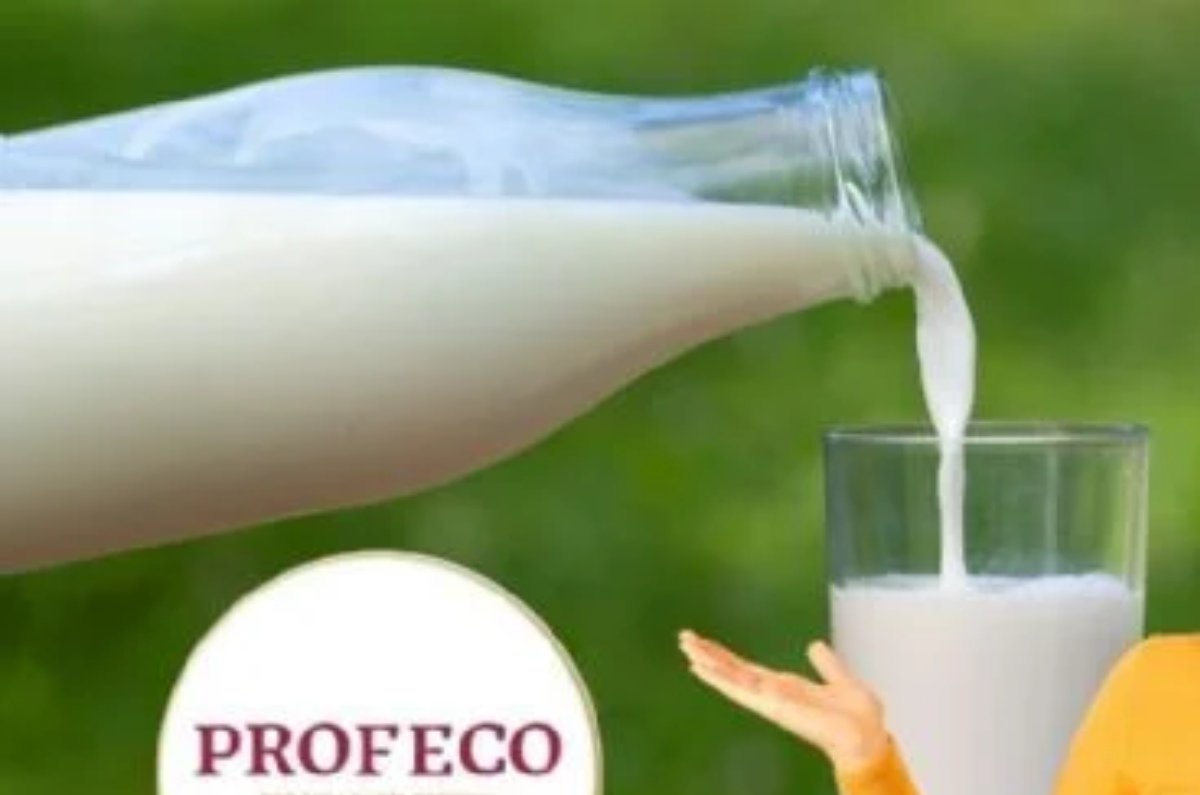 leche mexicana que si es leche