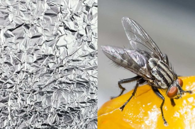 Cómo usar papel de aluminio para que las moscas nunca entren a tu hogar