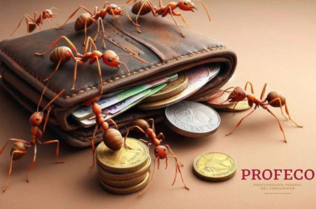 Estos dos alimentos generan el peor gasto hormiga según Profeco y tu ni te das cuenta