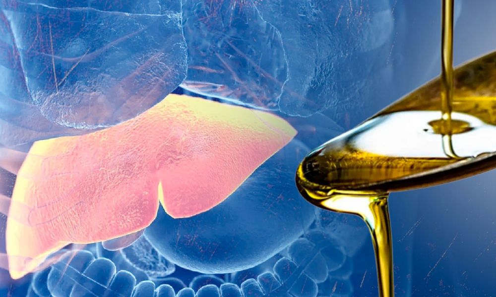 Aceites vegetales para el hígado