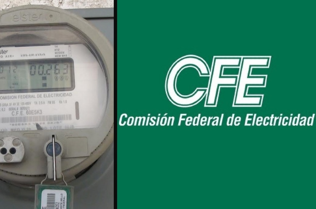 CFE irá casa por casa