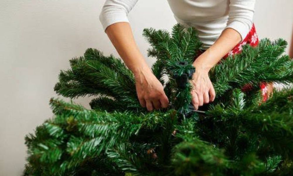 Cuándo debo quitar el árbol de Navidad