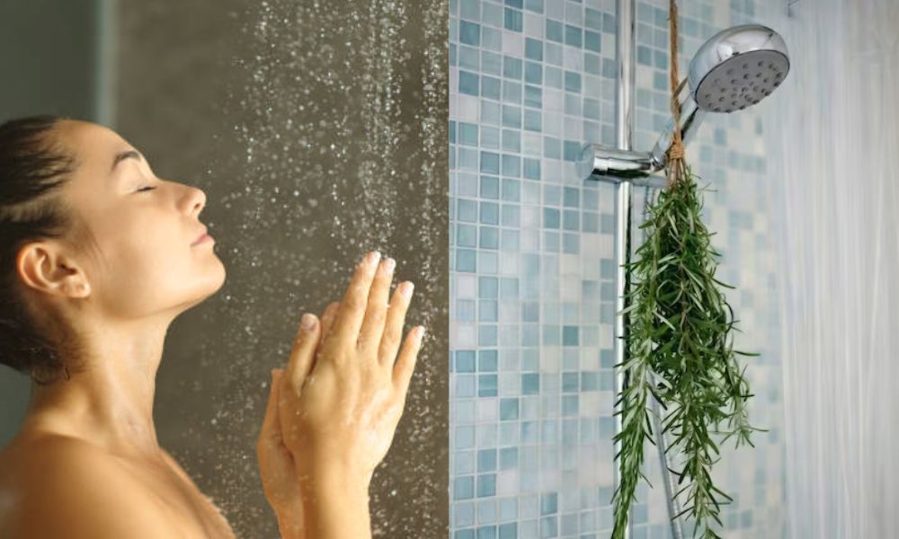 Dónde poner una ramita de romero en el baño